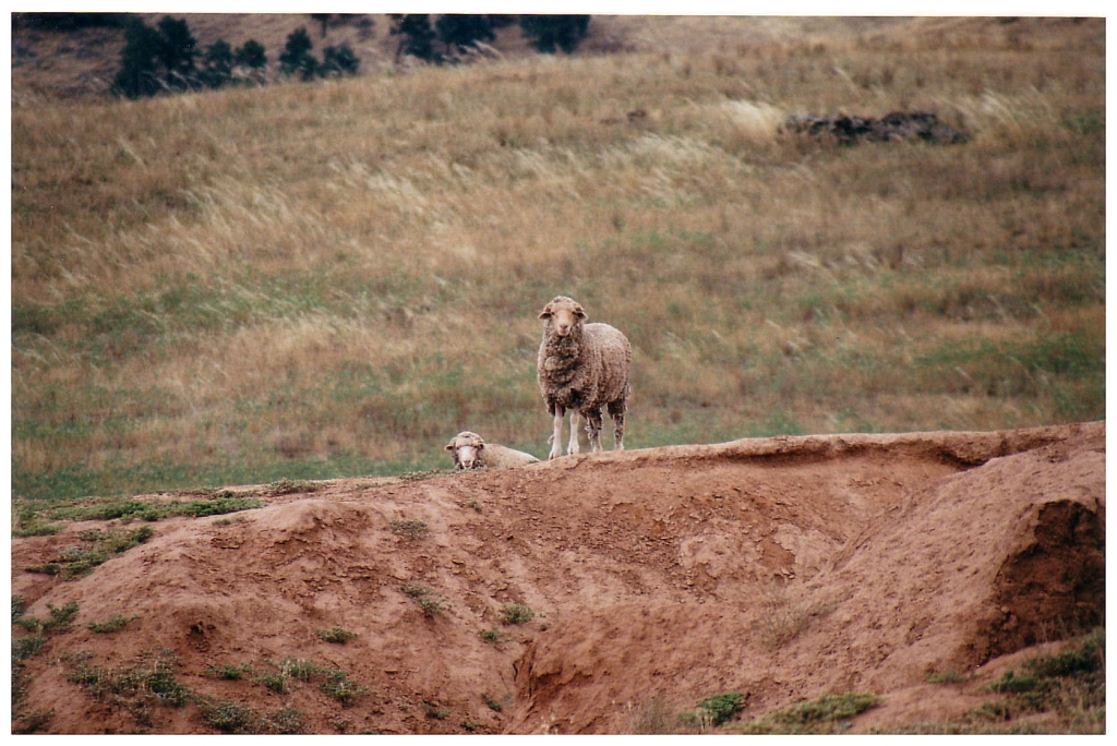03 - The Flinders Ranges (24).jpg